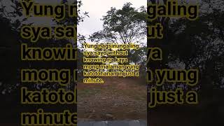 Download lagu sinungaling mong puso 💔 mp3