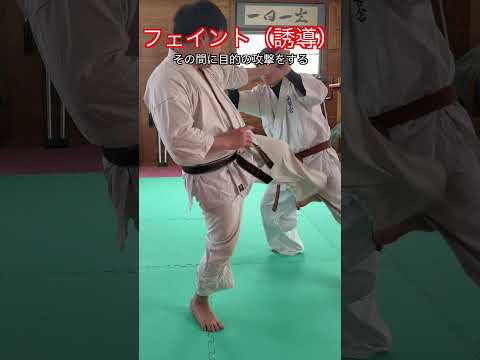 【武道・格闘技】フェイントや誘導で相手の注意を逸らす方法　４種類　解説！！　#aikido ＃karate #martial #武道 ＃#空手＃合気道＃筋トレ#selfdefens
