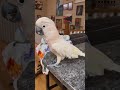 The Evil Dr Barney Laugh Subscribe Now For Daily Barney Videos