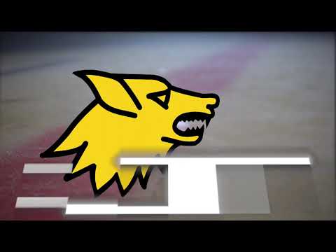 22 HC Pustertal vs EHC Lustenau 01 04 2021 Highlights Playoff QF1  Alps Hockey League 2020 21