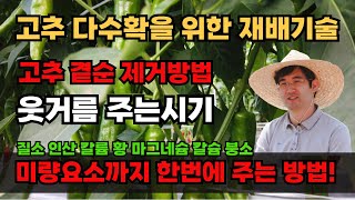 고추재배방법 곁순제거 고추웃거름 주는방법 추비 NK비료 엽면시비