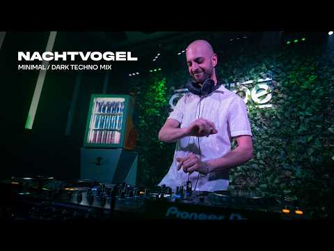 amebe and Nachtvogel