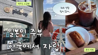 오랜만의 혼자 외출🐣 비자연장하고 무계획으로 돌아다닌 하루🍀 해외생활에 대해서의 생각💭한국에서 사는 일본인
