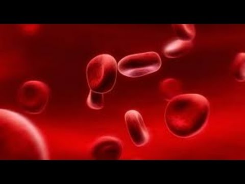 Środki do siły działania czerwonego korzenia Podniesienie niemoc ludzi