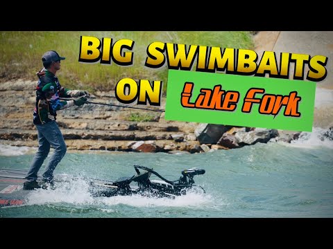 Big Swimbaits on Lake Fork