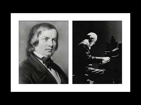 R. Schumann - Symphonic Etudes op. 13 (Alberto Mozzati)