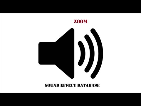 Zoom Sound Effect
