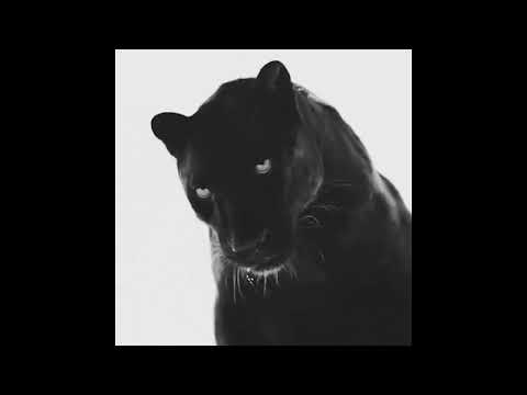 PANTERX93 - Culpable