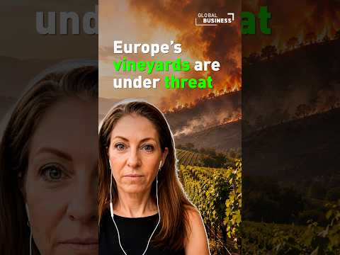 Can Europe protect its vineyards from worsening wildfires?