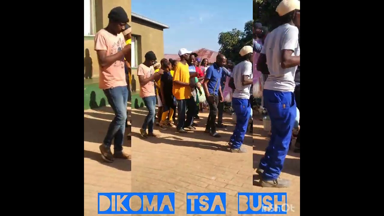 Dikoma tsa bushbuckridge (Ga malope)