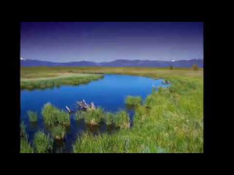 O sol se esconde sobre o teu olhar...