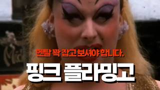 '핑크플라밍고' 리뷰 l 비위 강한 사람 모집합니다.