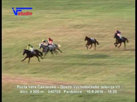10.9.2016 - 9. dostih - Pocta Věře Čáslavské – Dostih Východočeské televize V1