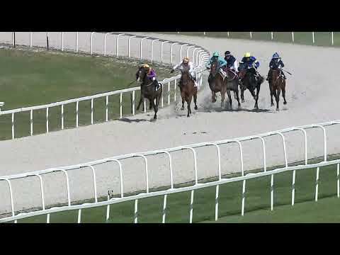 2019.08.04. 01. futam - CLAUDIA OCTAVIA HENDIKEP (IV.o.) (szintetikus pálya)