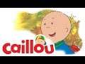 Caillou Caillou Rakes The Leaves S01E30 Cartoon For Kids