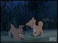 Lady and the Tramp I & II Music Video - Bella Notte ...