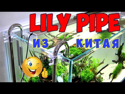 Лилипайпы со скиммером и дифузор СО2 из Китая