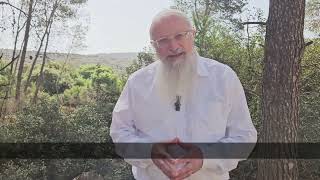 הצדיקים מזמינים אותנו - הערב הילולת רבי יהודה | הרב שמואל אליהו | הלכה יומית | י״ג אייר תשפ״ה (הרב שמואל אליהו) - התמונה מוצגת ישירות מתוך אתר האינטרנט יוטיוב. זכויות היוצרים בתמונה שייכות ליוצרה. קישור קרדיט למקור התוכן נמצא בתוך דף הסרטון