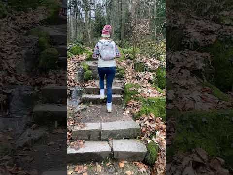 Gaishöll Wasserfälle - Cascadas de Sasbachwalden - Selva Negra, Alemania