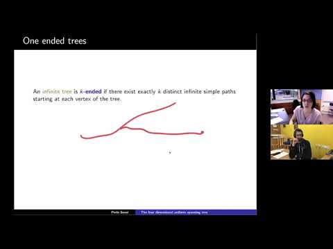 JIPS - Perla Sousi (Cambridge) / The uniform spanning tree in 4 dimensions