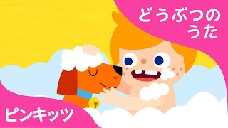 どうぶつのともだち | My Pet, My Buddy | どうぶつのうた | ピンキッツ童謡