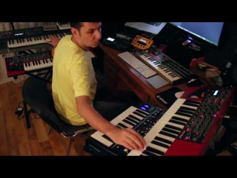 Alba Ecstasy - Live X