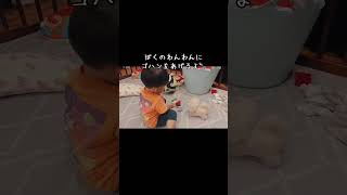 わんわん🐶にご飯あげたい！#1歳児 #末っ子 #赤ちゃんのいる生活 #クォーター #わんわん #かわいい #癒し #三兄弟 #shorts