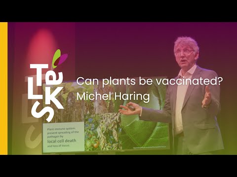 Video poster: Can plants be vaccinated?