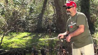 Jointed shallow shad rap rapala