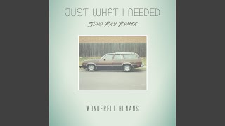 Just What I Needed (Juno Ray Remix)