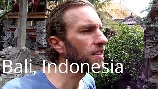 My super awesome guesthouse in Ubud, Bali for $20 a night (Indonesia)