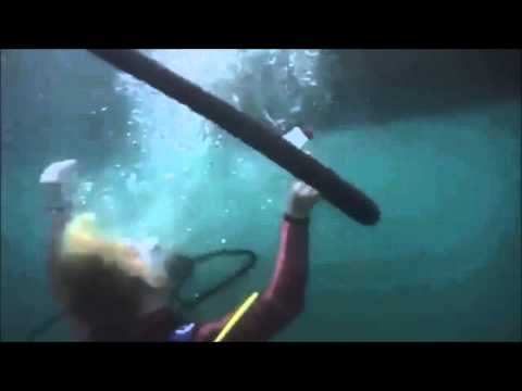 Alan & Smithee - 2 Headed Shark Attack (2012)