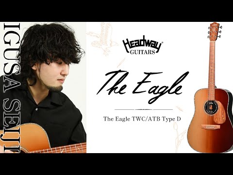 Headway Acoustic guitar The Eagle TWC/ATB Type D  - TLP-HGR(Tulip Half Gradation) #A04141 - 2.1kg image 14
