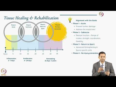 Overview of Phases of Rehabilitation
