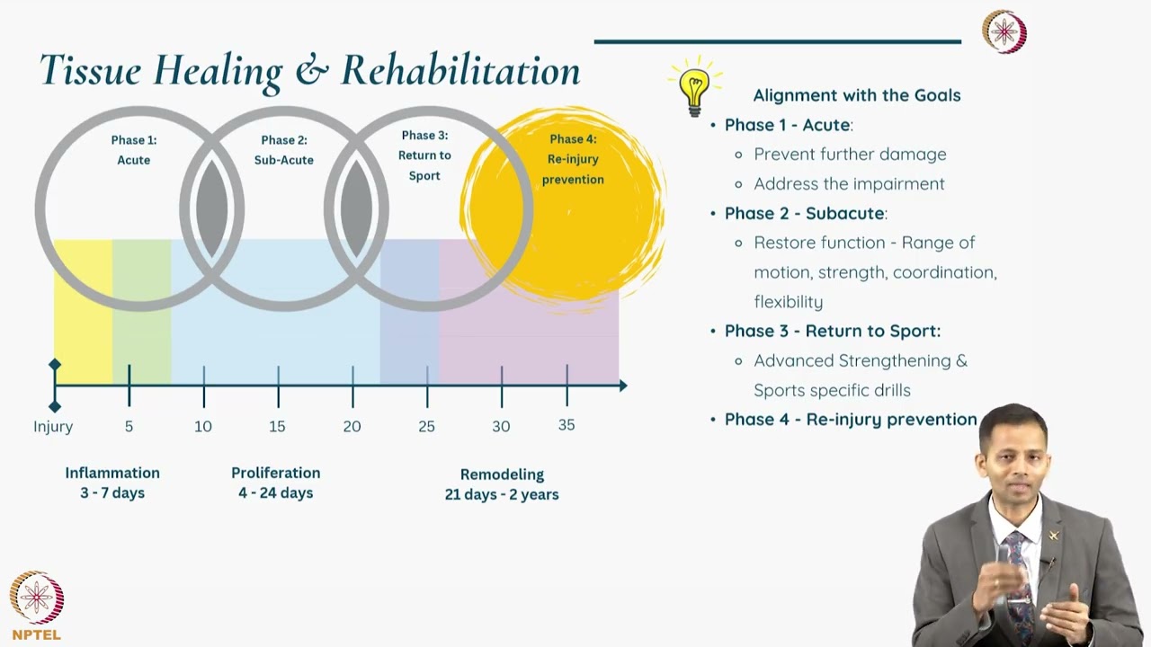 Overview of Phases of Rehabilitation