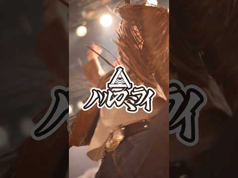 「The Landolt C」from New AL『生きるとは鼻くそくらいの希望を持つことだ』 #ハルカミライ