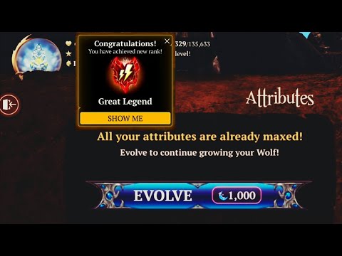The wolf - Max attributes and evolve 🌟 + red rank 🤩 || reinforcing legendary items and more 