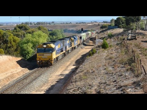 NR53, 37, AN4 leading a Melbourne bound intermodel up the grade out of Murray Bridge