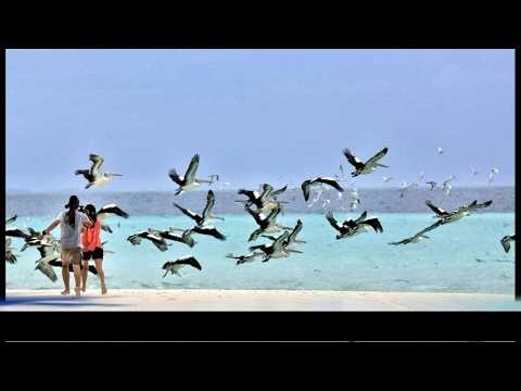 Santai by Spongebob Squad Family