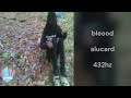 Bleood Alucard 432hz