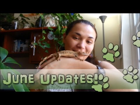 Seri Vlog! June Updates!!