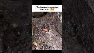Ele é muito fofo🥰