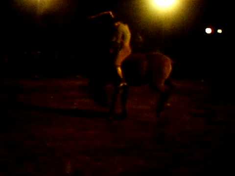 mario saraiva x gato mestre trop SC.avi