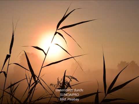 Ein letztes Lied - Ein sehr emotionaler Song zum Abschied