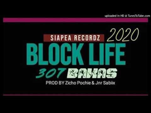 BLOCK LIFE- 307 BAKAS(2020 PNG MUSIC)