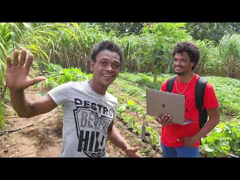 Nu Sta na Produson ku Makilaki