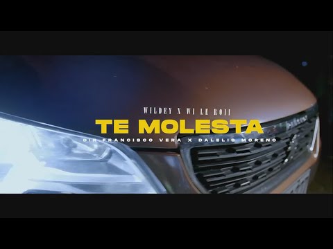 TE MOLESTA   @wileroii  FEAT. @WildeyLucho  (VIDEO OFICIAL) 2022