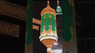 Download lagu Bidadari surga ku status wa mp3