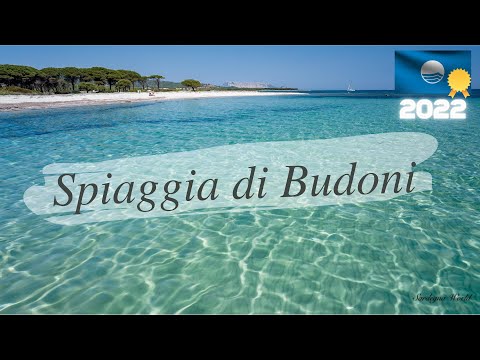 Spiaggia di Budoni - Bandiera Blu e RICONOSCIMENTO 5 Vele 2022 [ 4K ] Sardegna World by drone