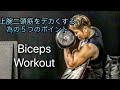 上腕二頭筋をデカくするための5つのポイント！[Biceps Workout]